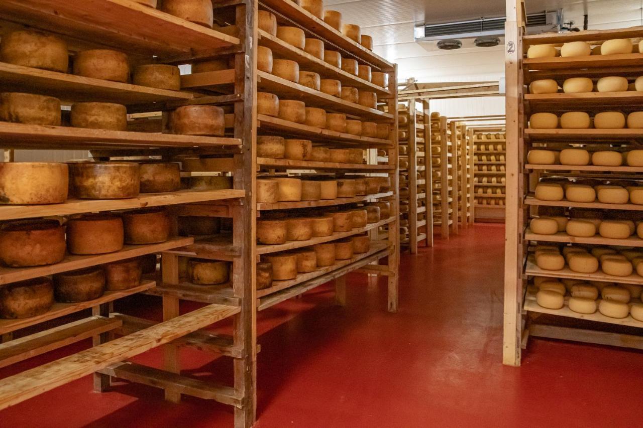 Agriturismo Fattoria Lischeto ヴォルテッラ エクステリア 写真